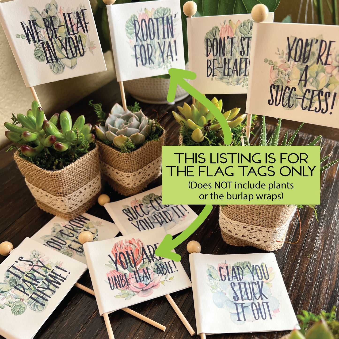 Custom Grad Party Favors, Any School, Plant Puns, Wraps & Tags (plants not included)