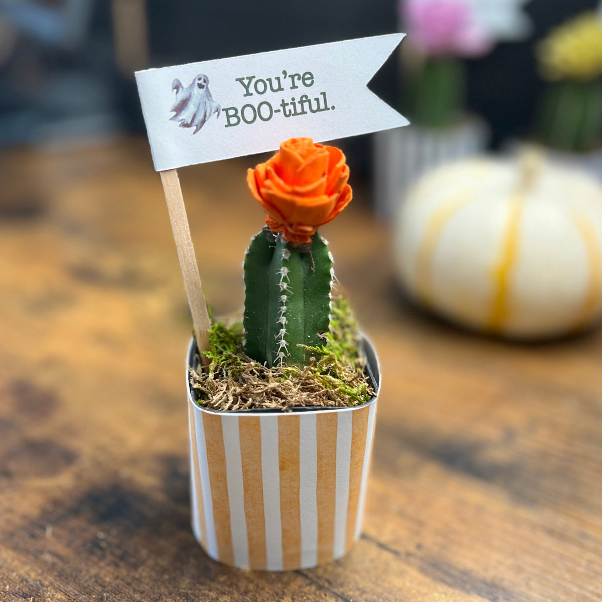 A small potted cactus decoration on a wooden table, featuring a green cactus with an orange flower in a striped white and tan pot, with a small flag that reads 'You're BOO-tiful.'.