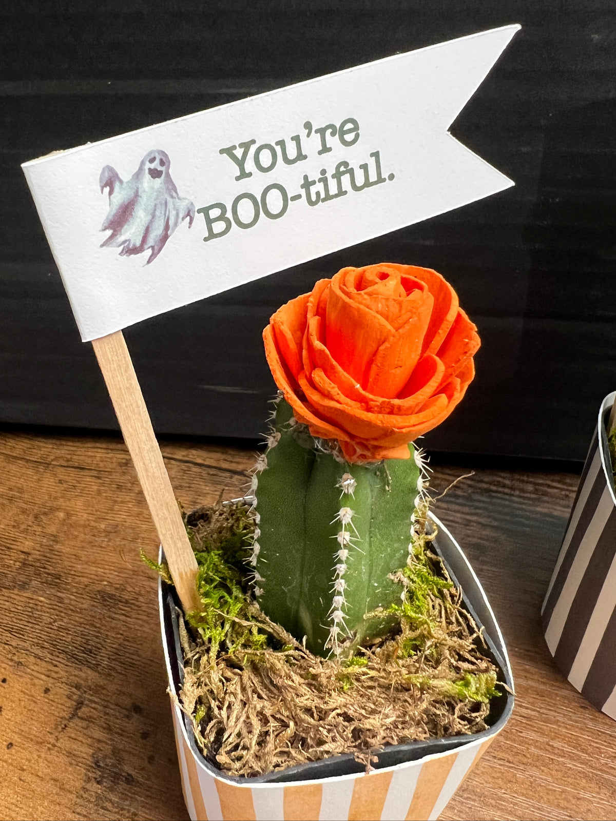 Cutie Cactus for Halloween [M2]