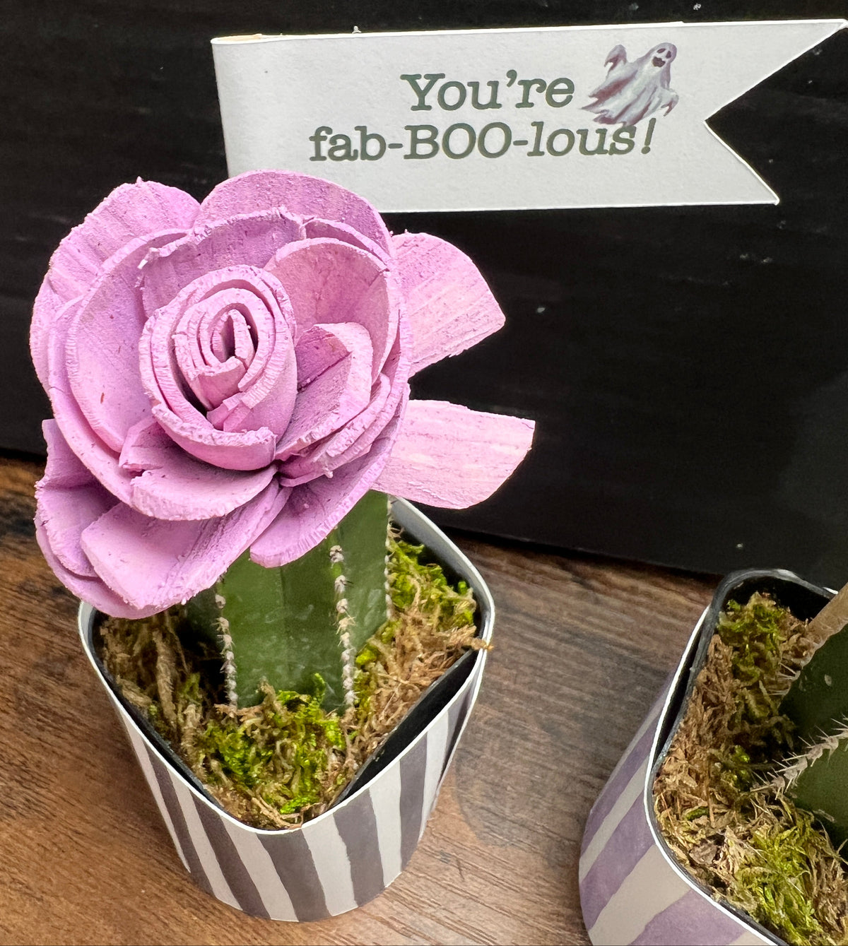 Cutie Cactus for Halloween [M2]