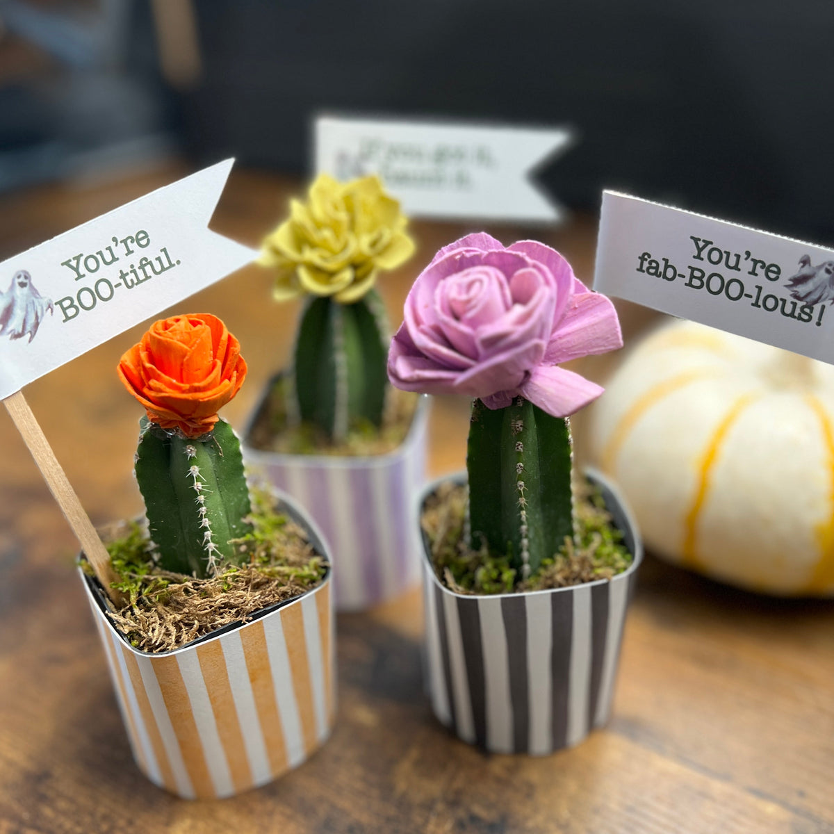 Three small decorative cactus plants in striped paper cups on a wooden table, each with a flower and a tag that reads 'You're BOO-ful!' or 'You're fab-BOO-lous!', with a white pumpkin in the background.