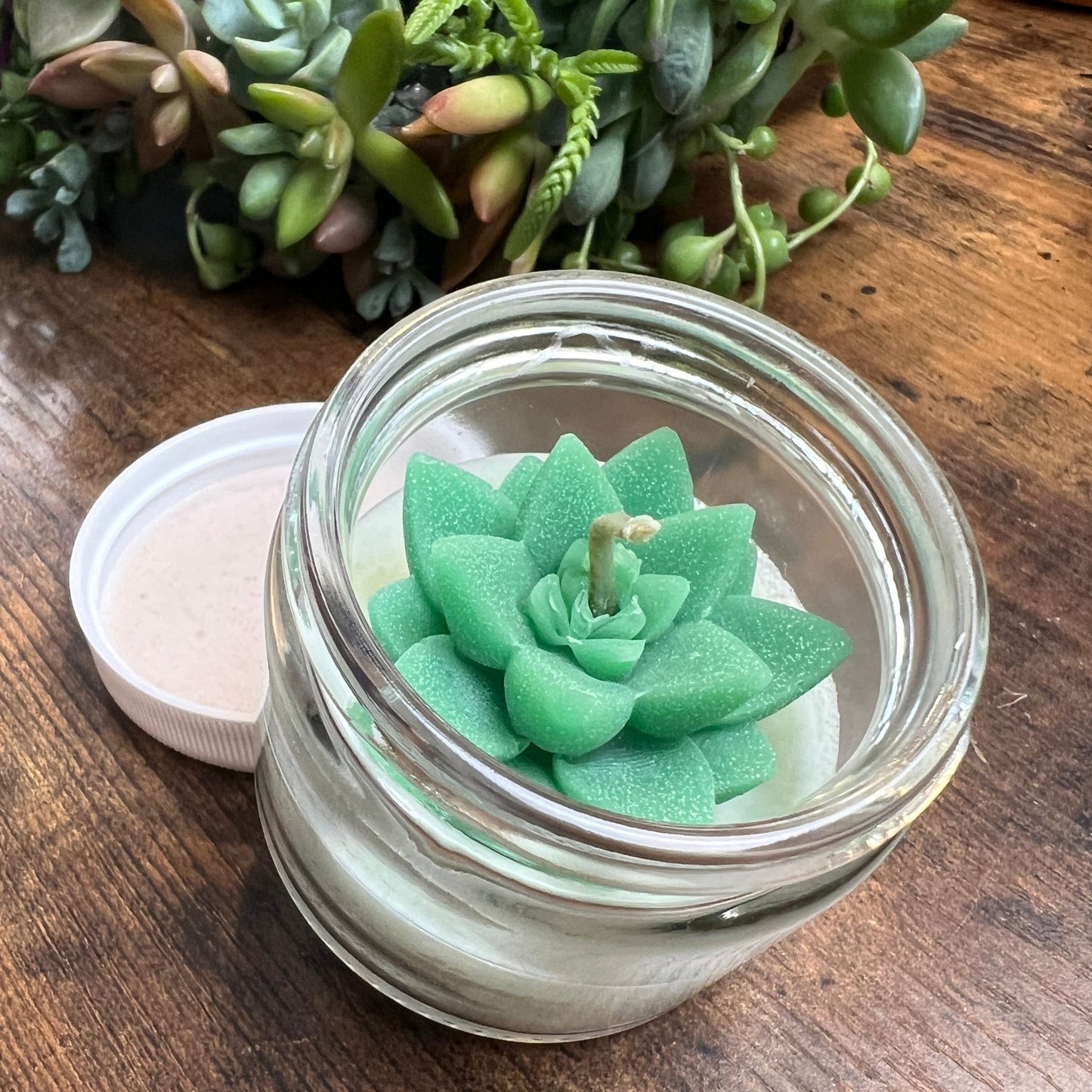 MIni Succulent Travel Candle, 2 oz Cactus Blossom Scent (Copy)