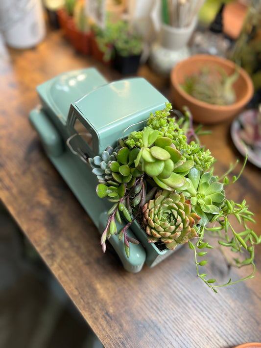 Medium Succulent Truck