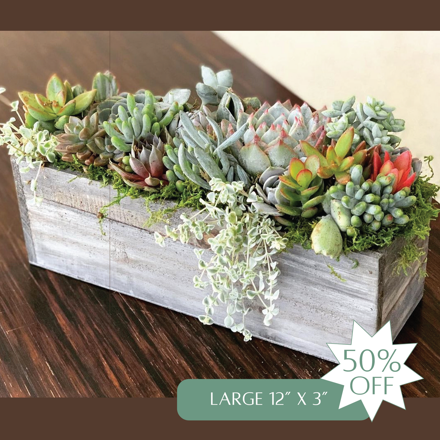 Succulent Arrangement Gift Card | Up to 50% Off Holiday Pre-Order Gifts