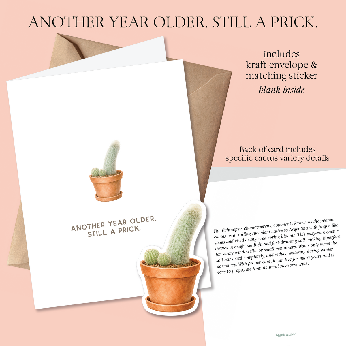 Prick Pun Snarky Greeting Cards [S2]