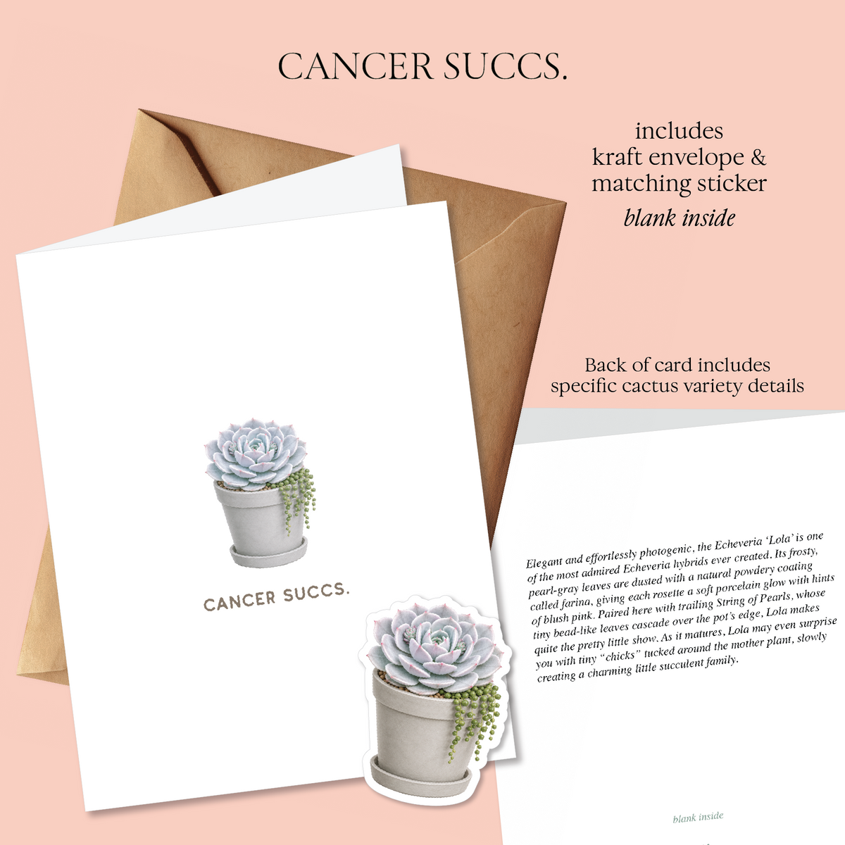 Prick Pun Snarky Greeting Cards [S2]