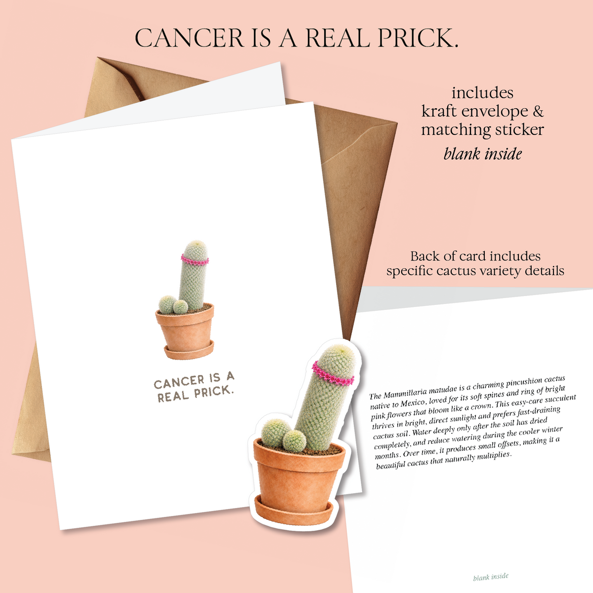 Prick Pun Snarky Greeting Cards [S2]