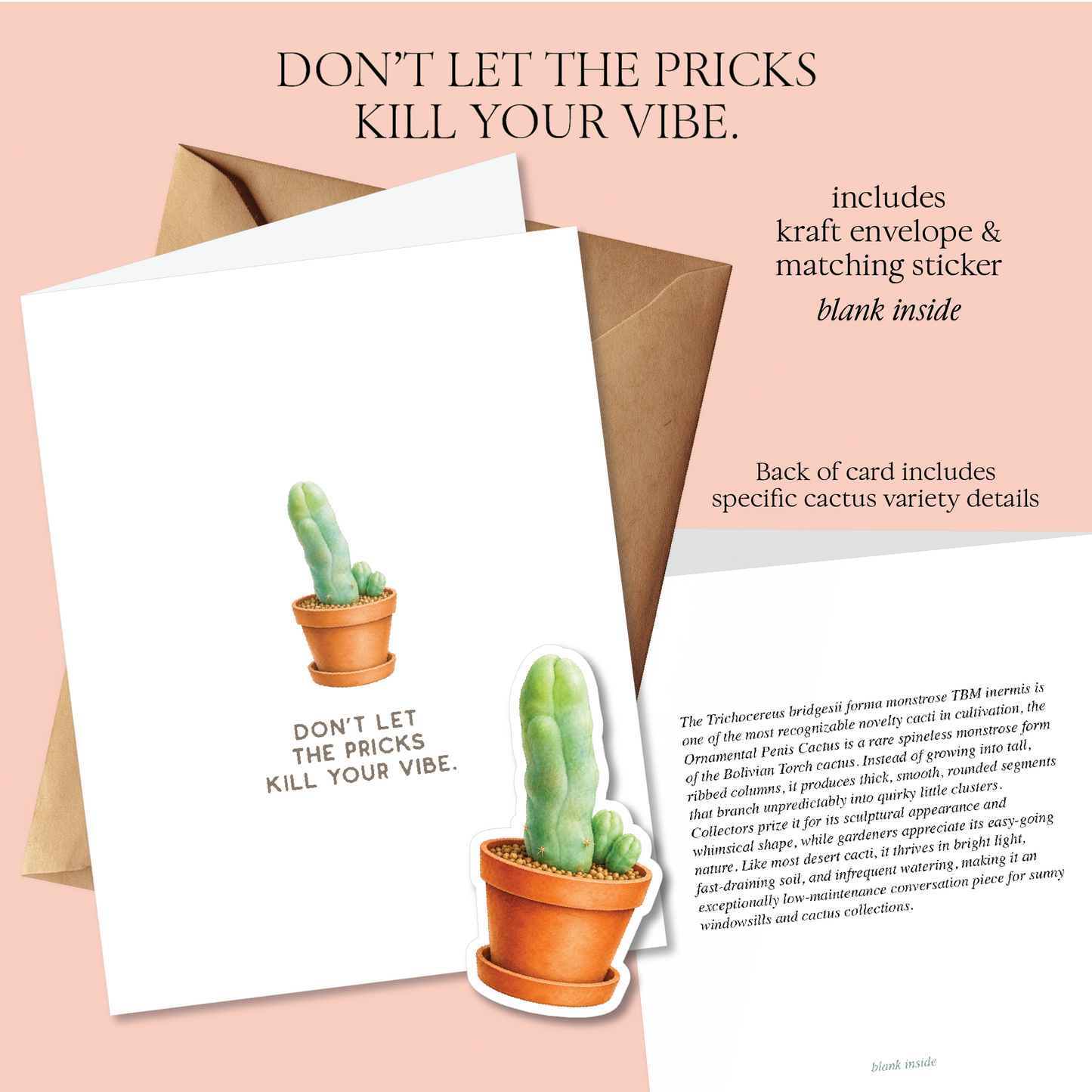 Prick Pun Snarky Greeting Cards [S2]