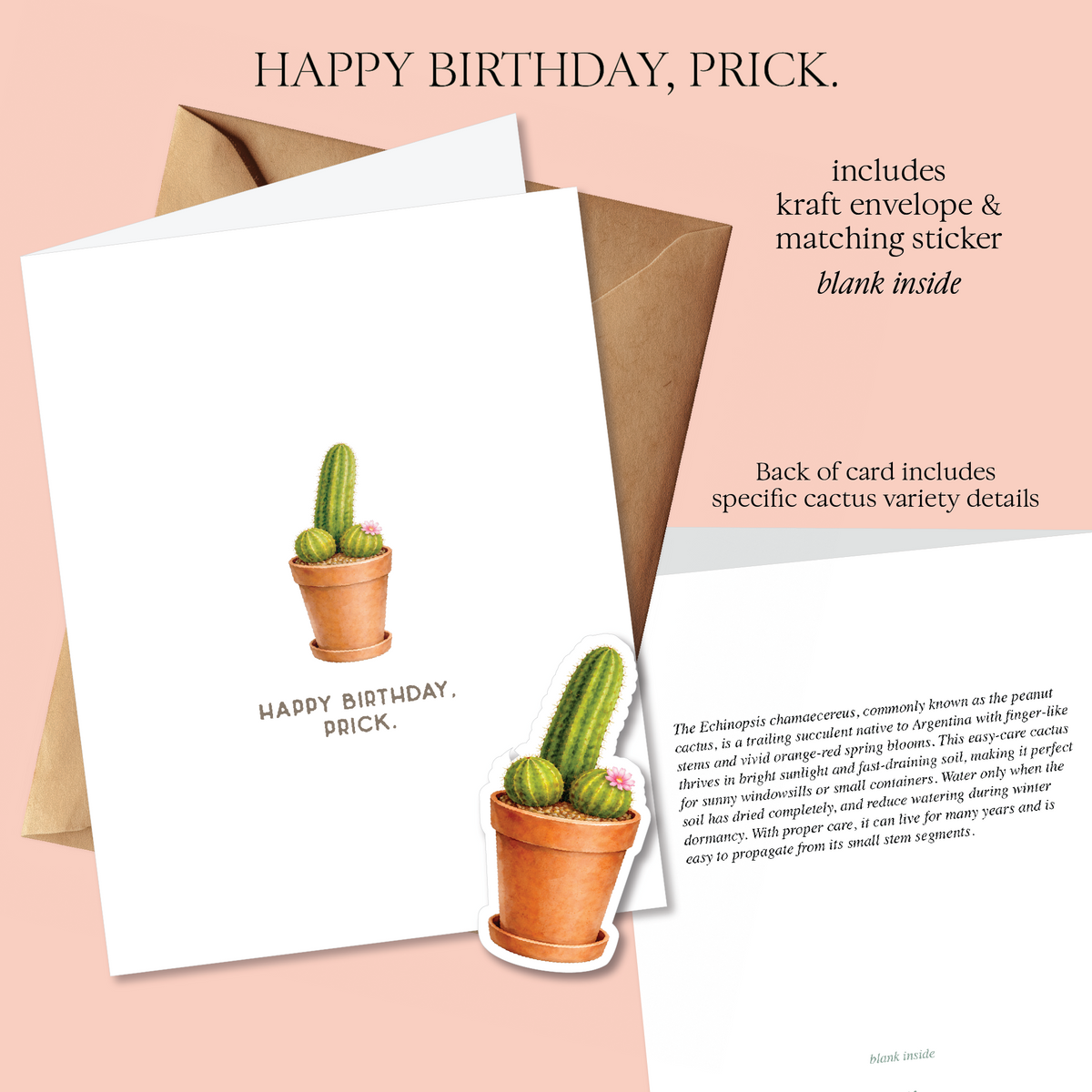 Prick Pun Snarky Greeting Cards [S2]