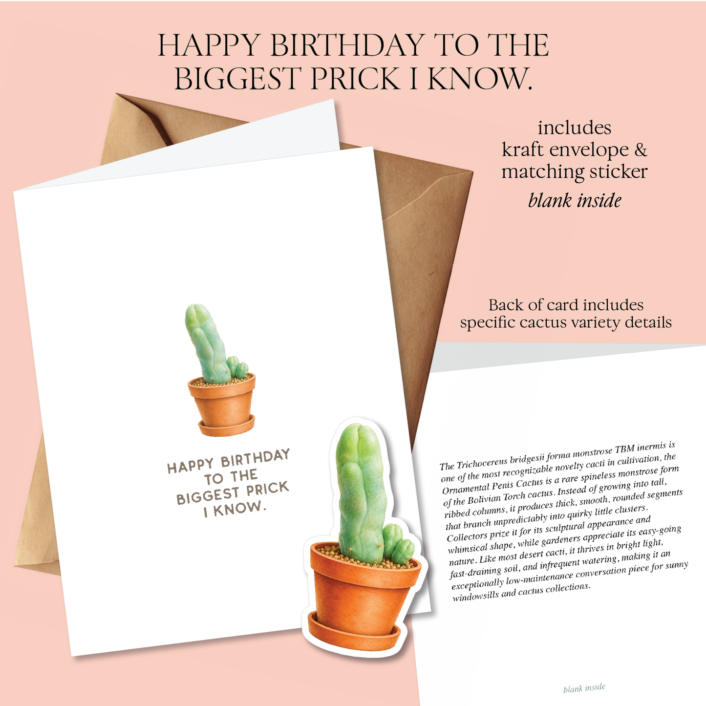 Prick Pun Snarky Greeting Cards [S2]