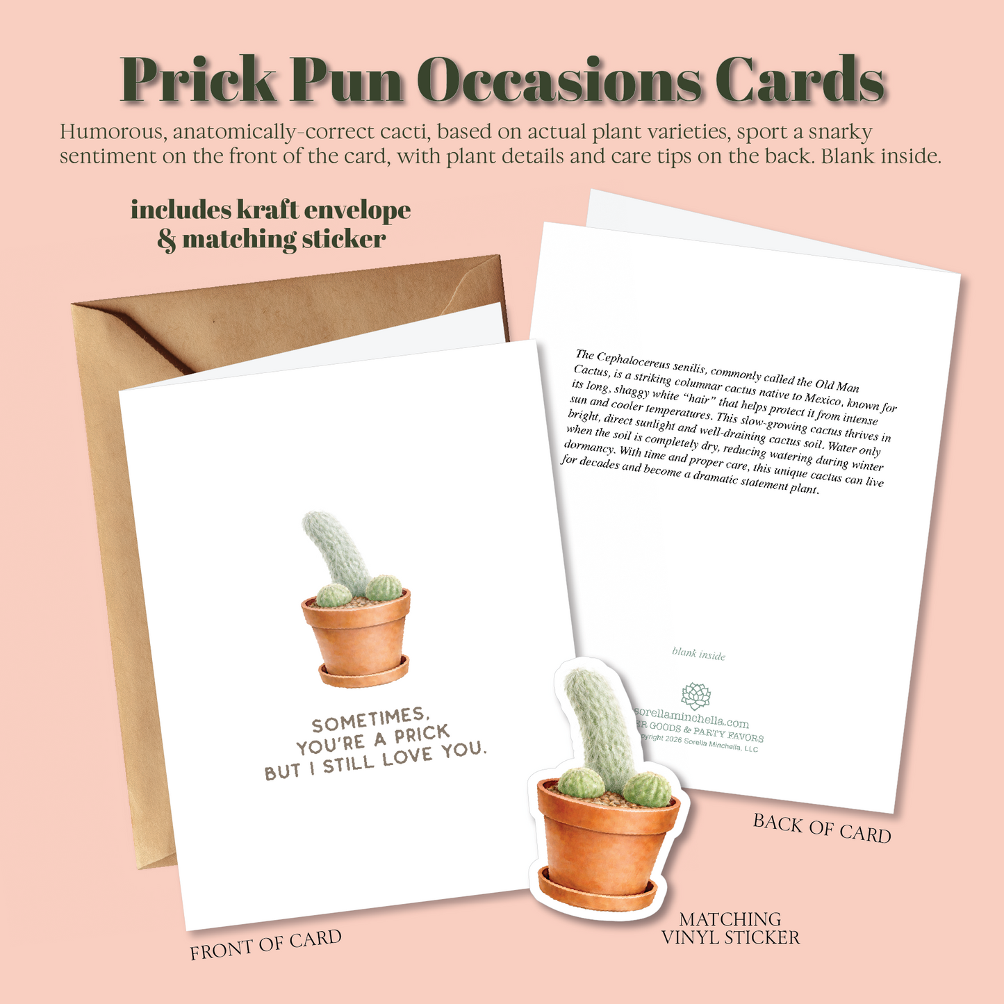 Prick Pun Snarky Greeting Cards [S2]