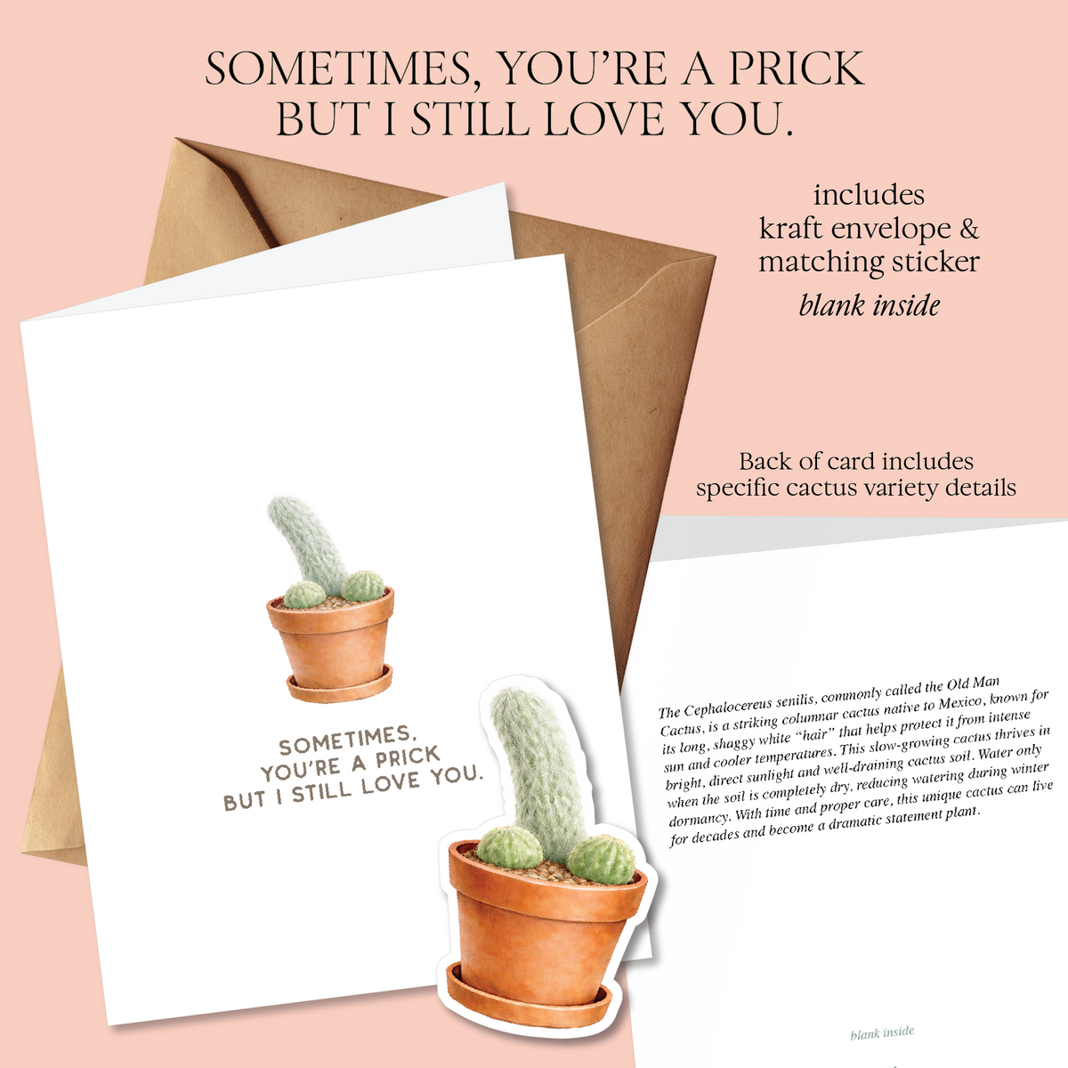 Prick Pun Snarky Greeting Cards [S2]