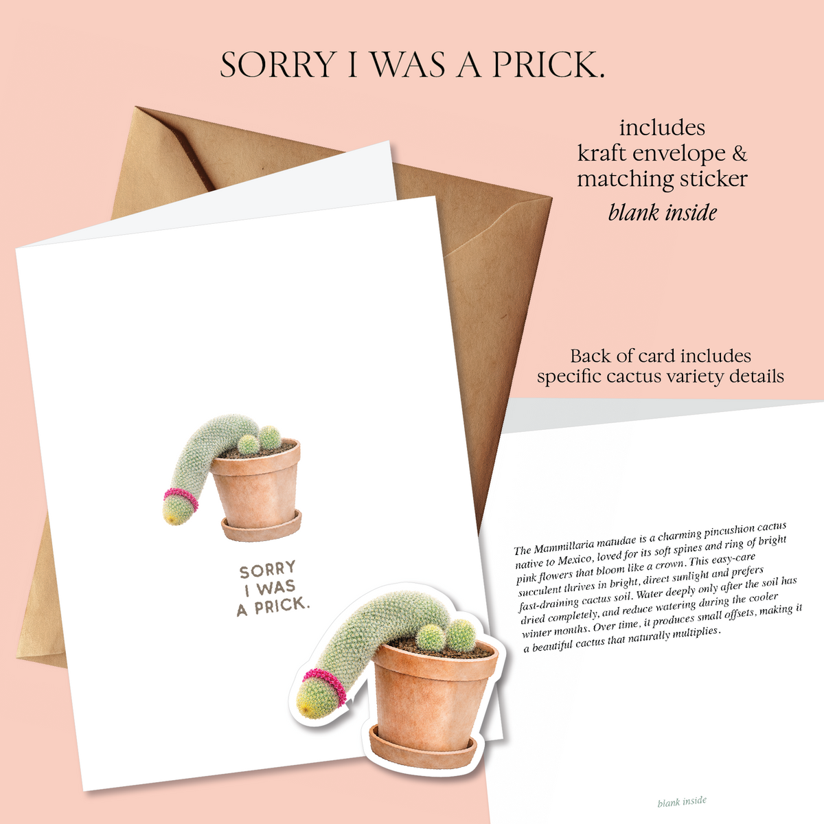 Prick Pun Snarky Greeting Cards [S2]