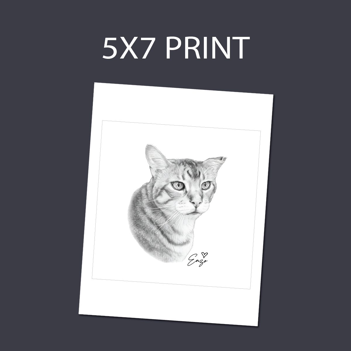 Custom DIGITAL Pet 5x7 Print or Notecards, LIVE SHOW