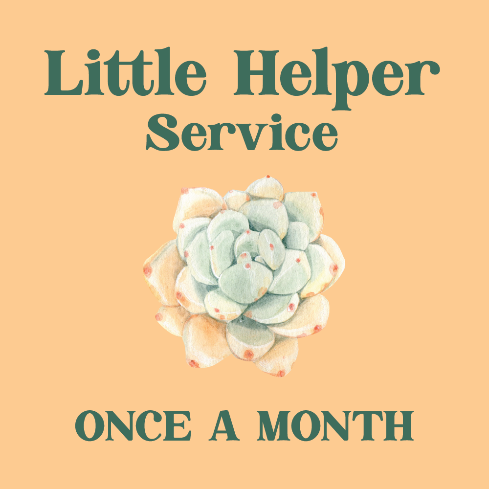 Landscape Services, Monthly Potted Landscape Maintenance