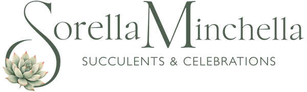 Succulents & Plant Gifts by Sorella Minchella