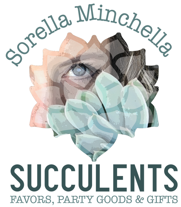 Succulent Favors & Plant Gifts by Sorella Minchella