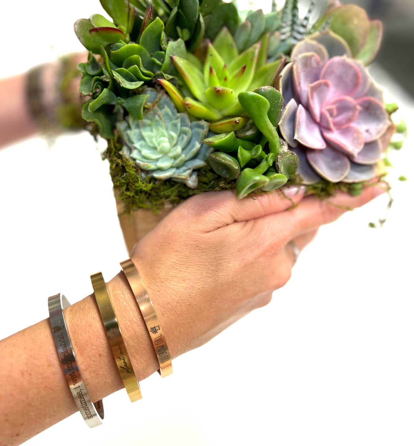 What the Succ Bracelet, Snarky Plant Pun Cuff Bracelet, Funny Plant Lover Gift