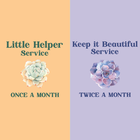 Landscape Services, Monthly Potted Landscape Maintenance