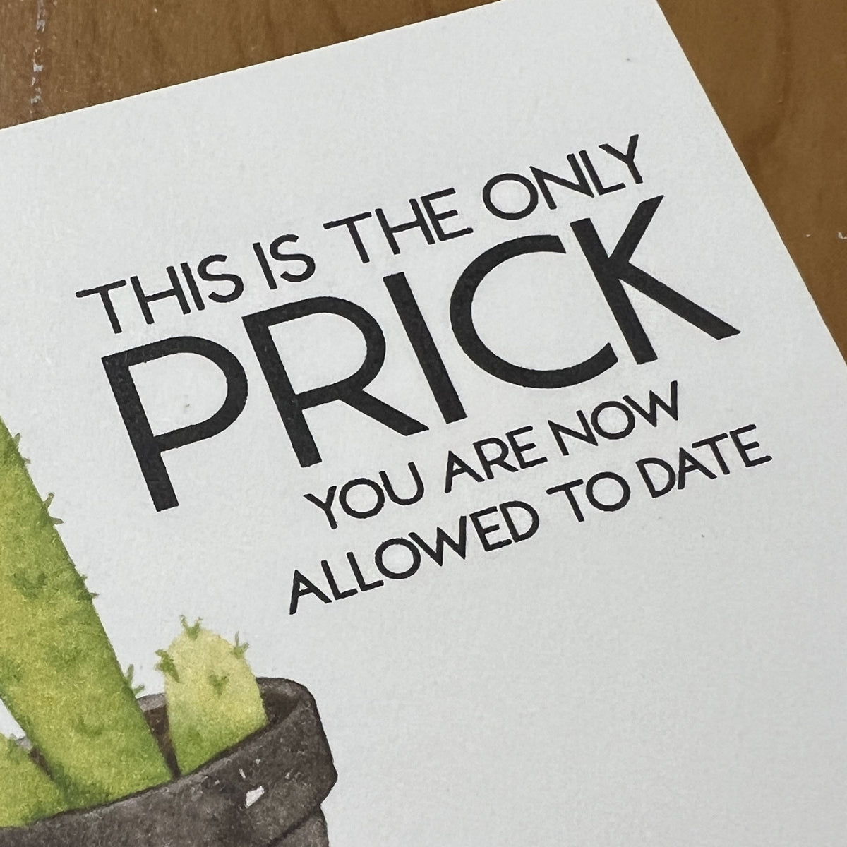 Breakup Gift Snarky Cactus Prick Pun Divorce Care Package
