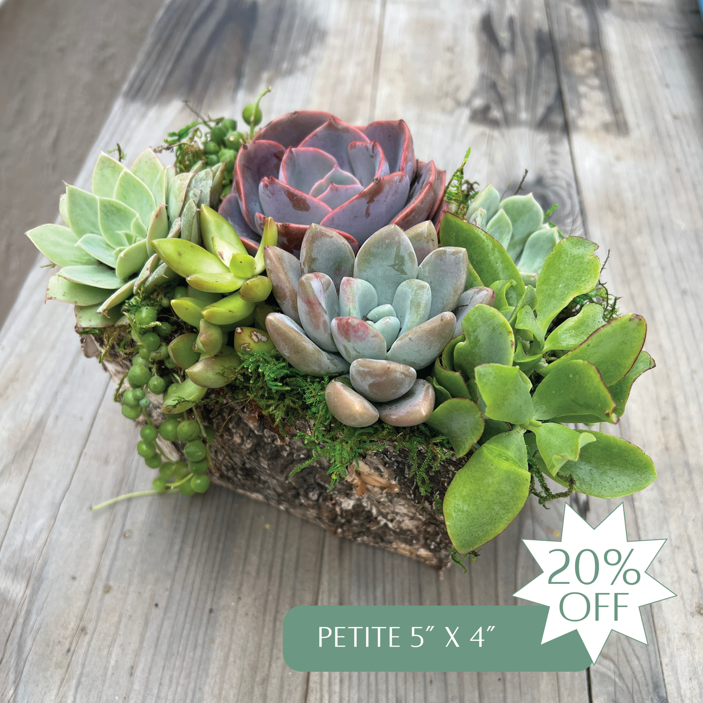 Succulent Arrangement Gift Card | Up to 50% Off Holiday Pre-Order Gifts