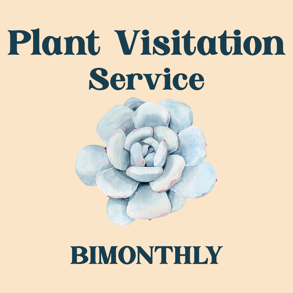 Landscape Services, BiMonthly Potted Landscape Maintenance