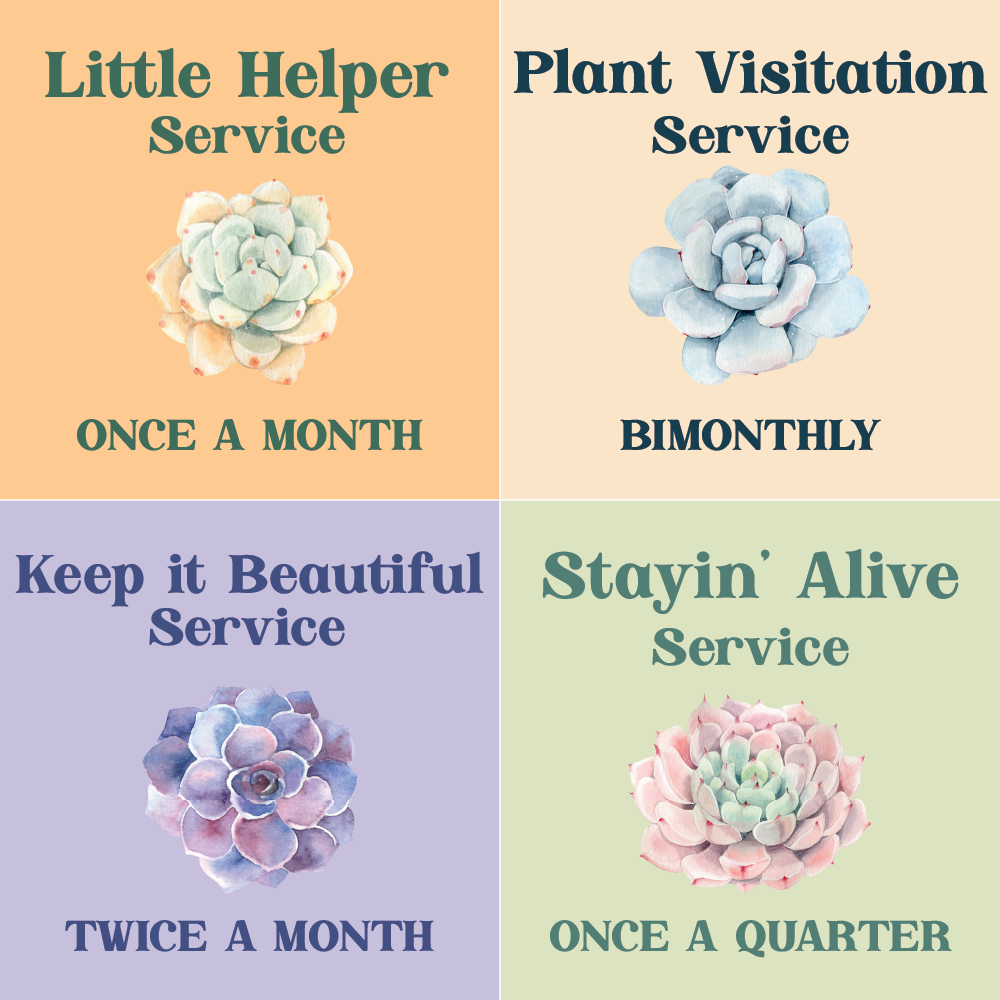 Landscape Services, BiMonthly Potted Landscape Maintenance