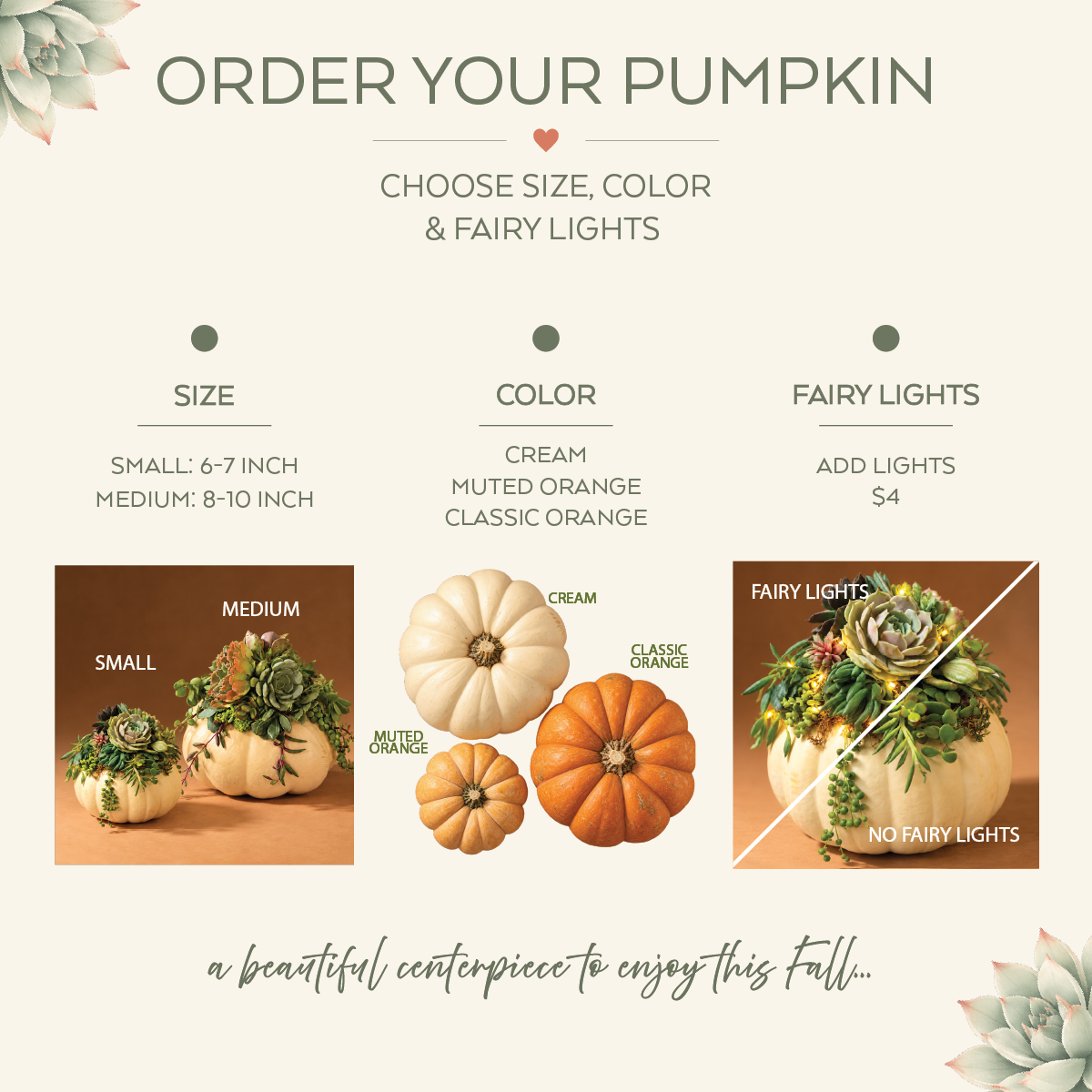 Real Succulent Pumpkin Arrangement Fall Centerpiece