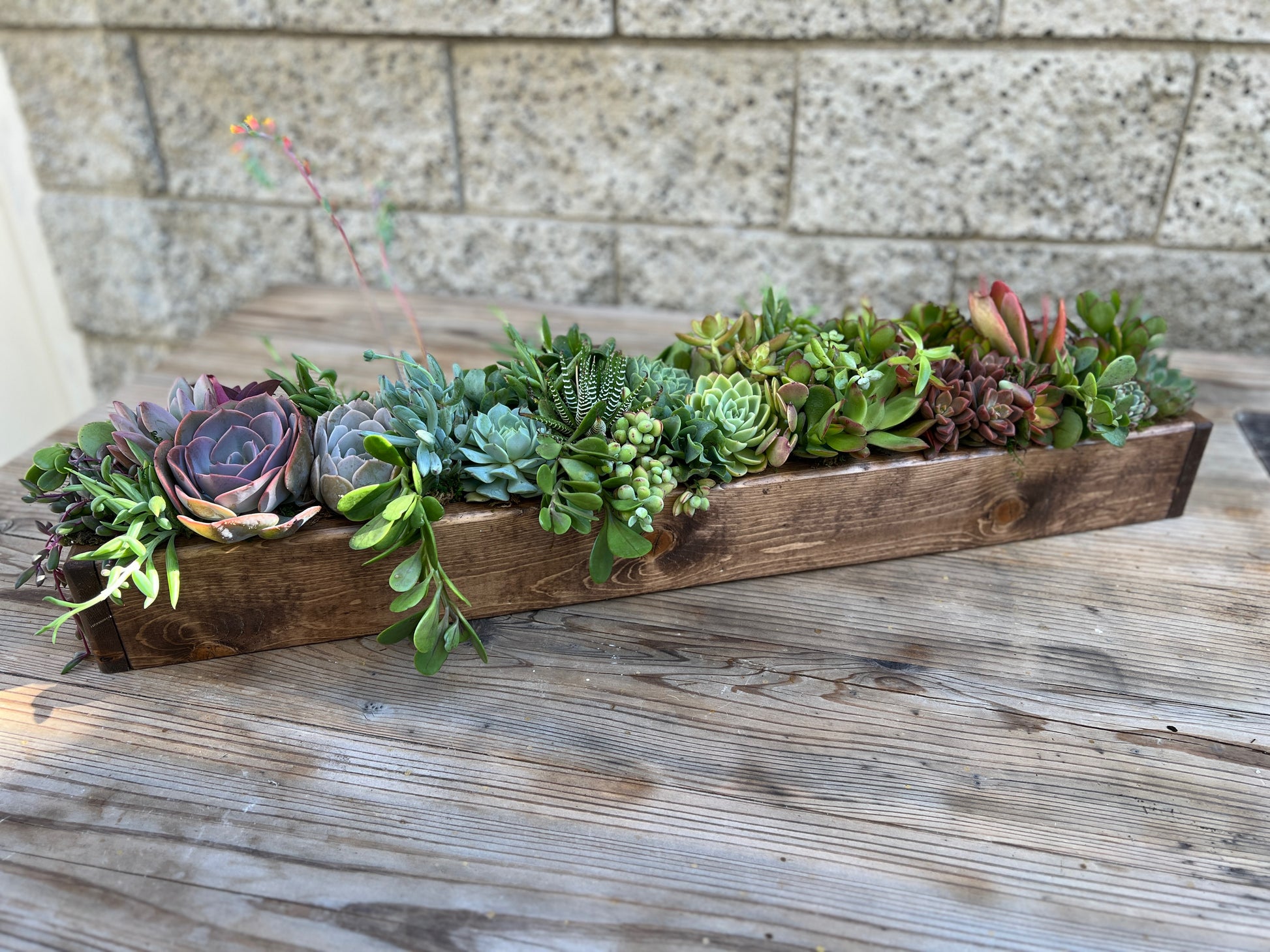 long succulent planter box Long Custom Wood Box Succulent Arrangement, Low Profile Centerpiece [S – Succulents & Plant Gifts by Sorella Minchella