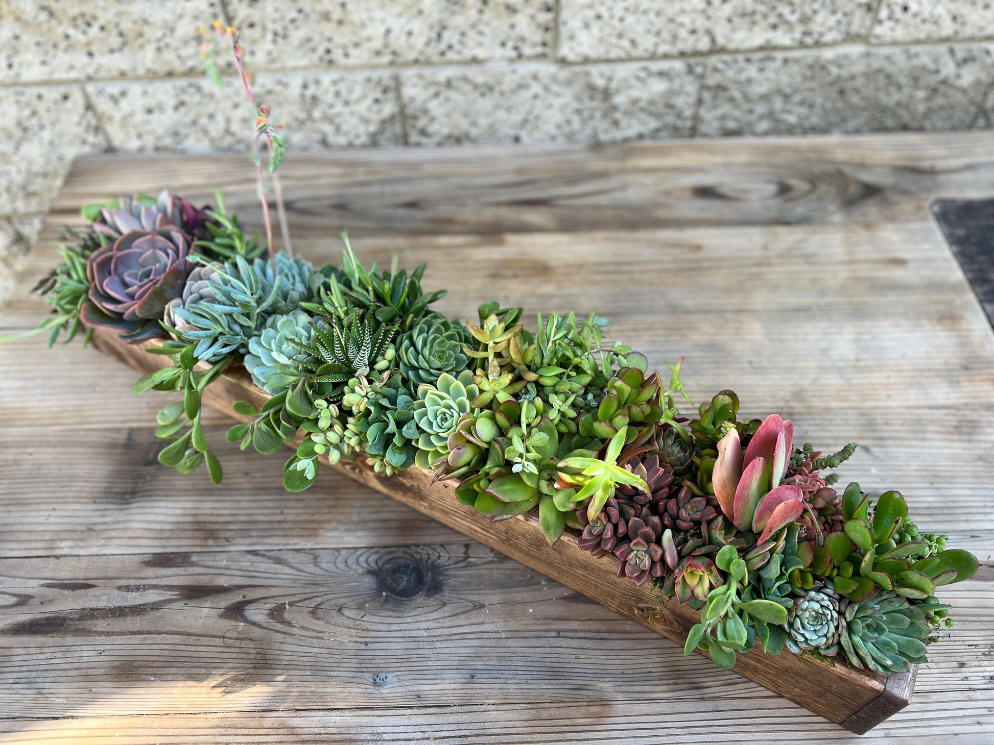 long narrow succulent planter Long Custom Wood Box Succulent Arrangement, Low Profile Centerpiece [S – Succulents & Plant Gifts by Sorella Minchella