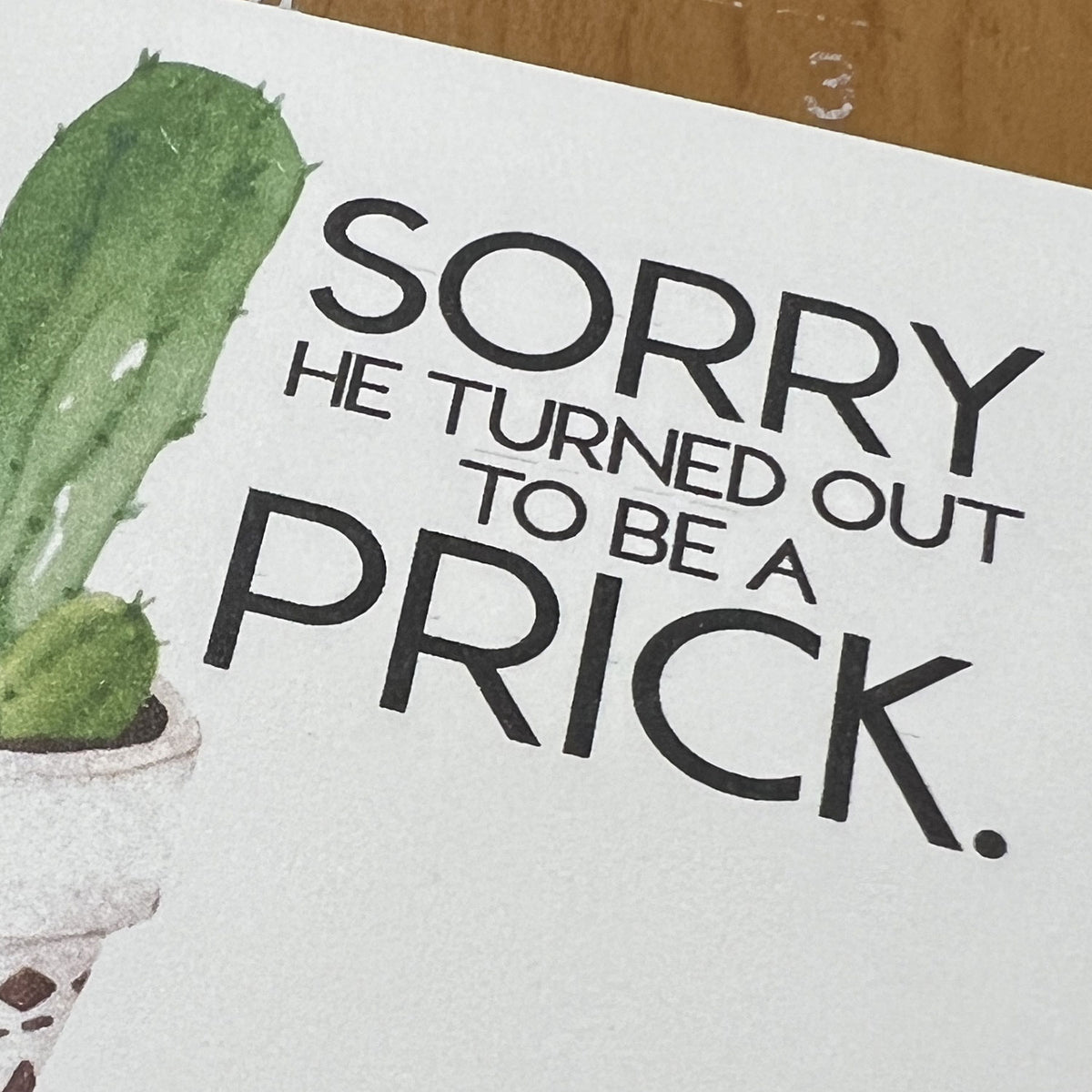 Breakup Gift Snarky Cactus Prick Pun Divorce Care Package