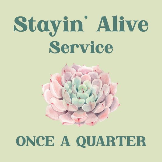 Landscape Services, Quarterly Potted Landscape Maintenance