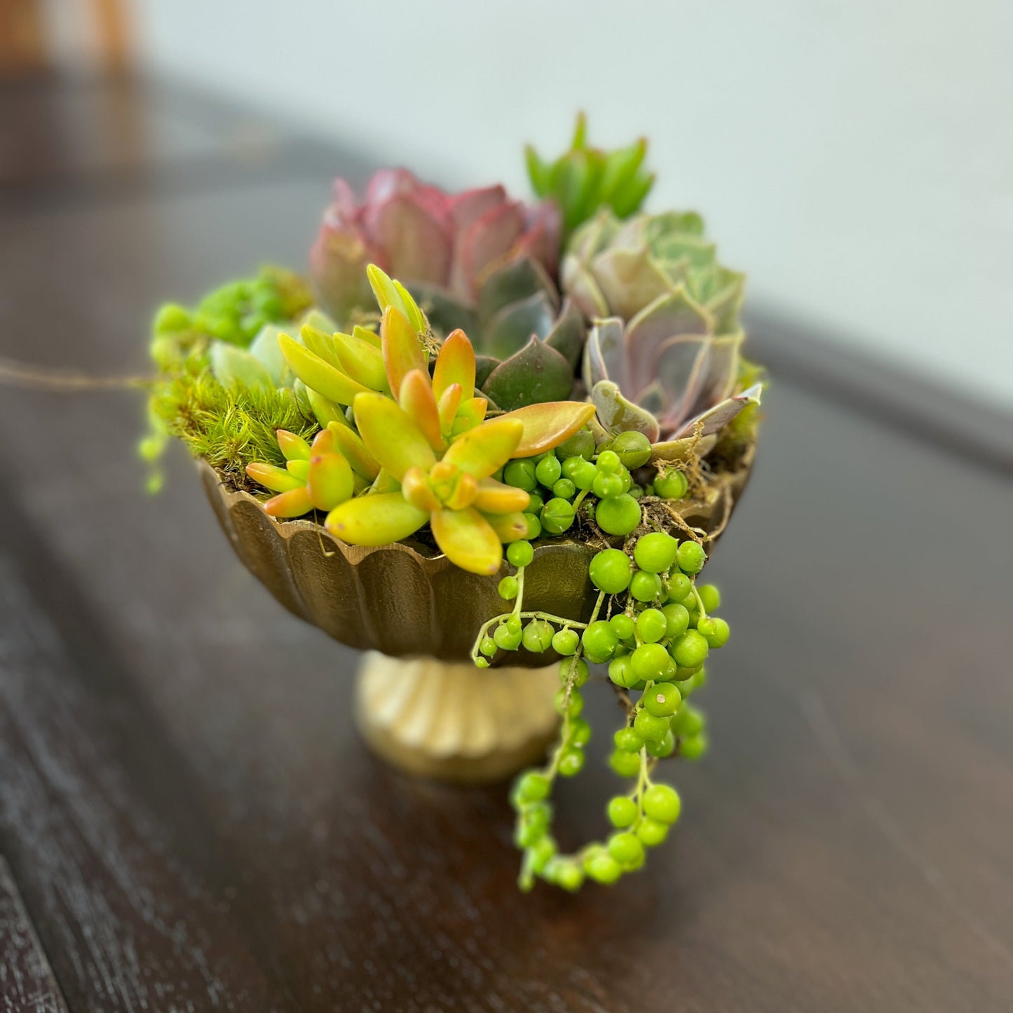 Pedestal Succulent Arrangement with Tag, Succulent Garden [M2]