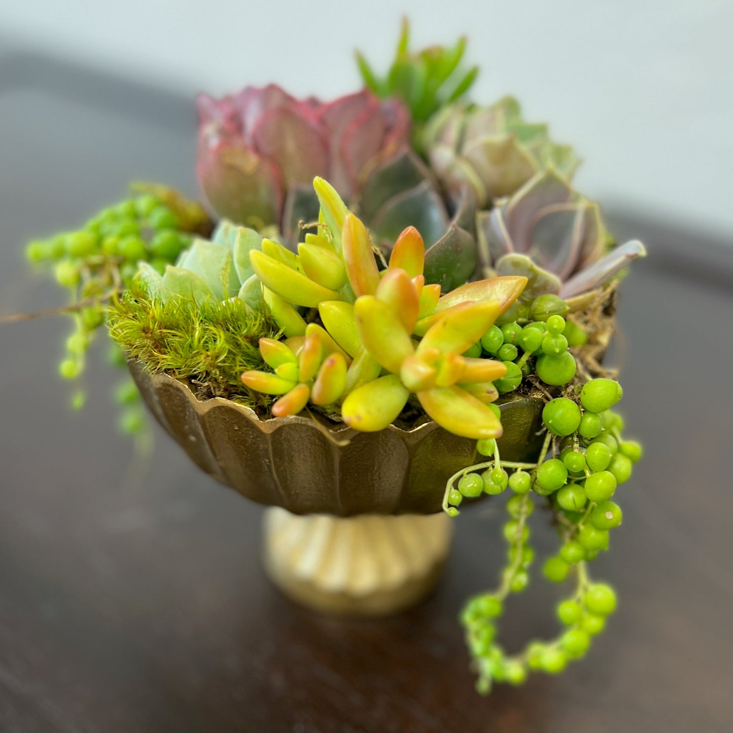 Pedestal Succulent Arrangement with Tag, Succulent Garden [M2]