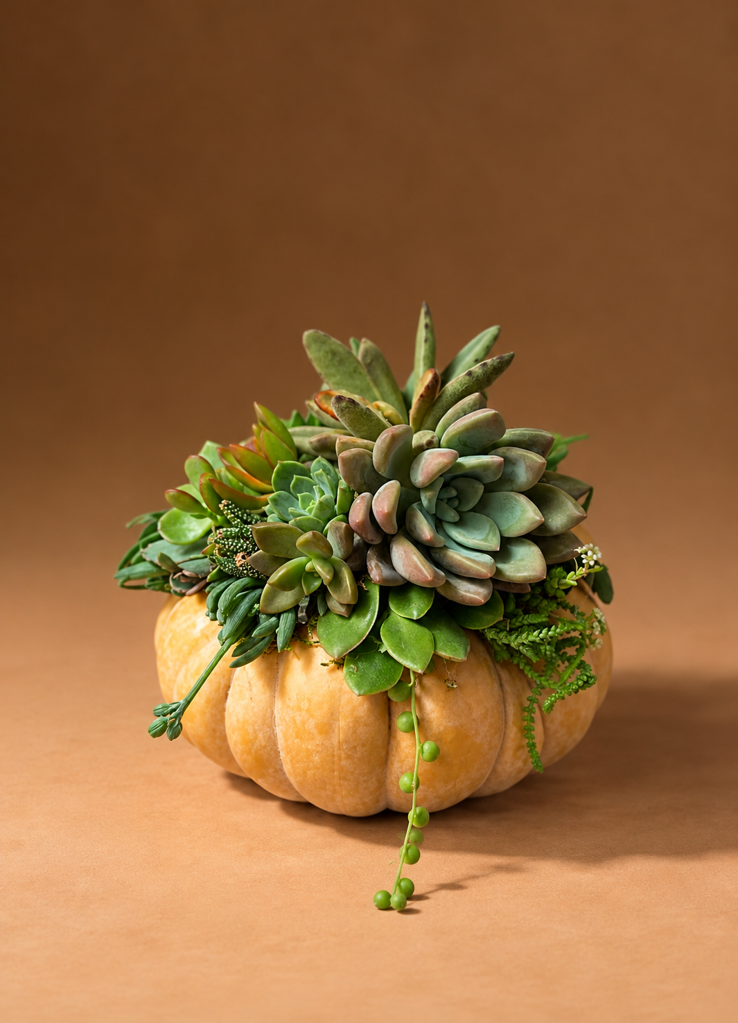 Real Succulent Pumpkin Arrangement Fall Centerpiece