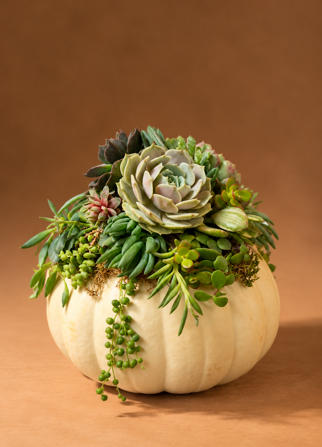 Real Succulent Pumpkin Arrangement Fall Centerpiece