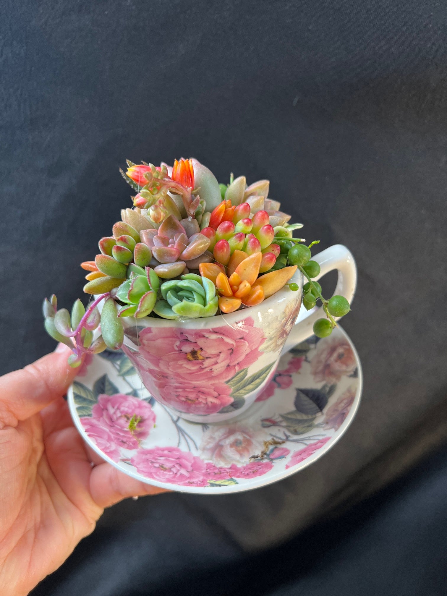 succulent tea Mother's Day Tea Cup Succulent Arrangement – Succulents & Plant Gifts by Sorella Minchella