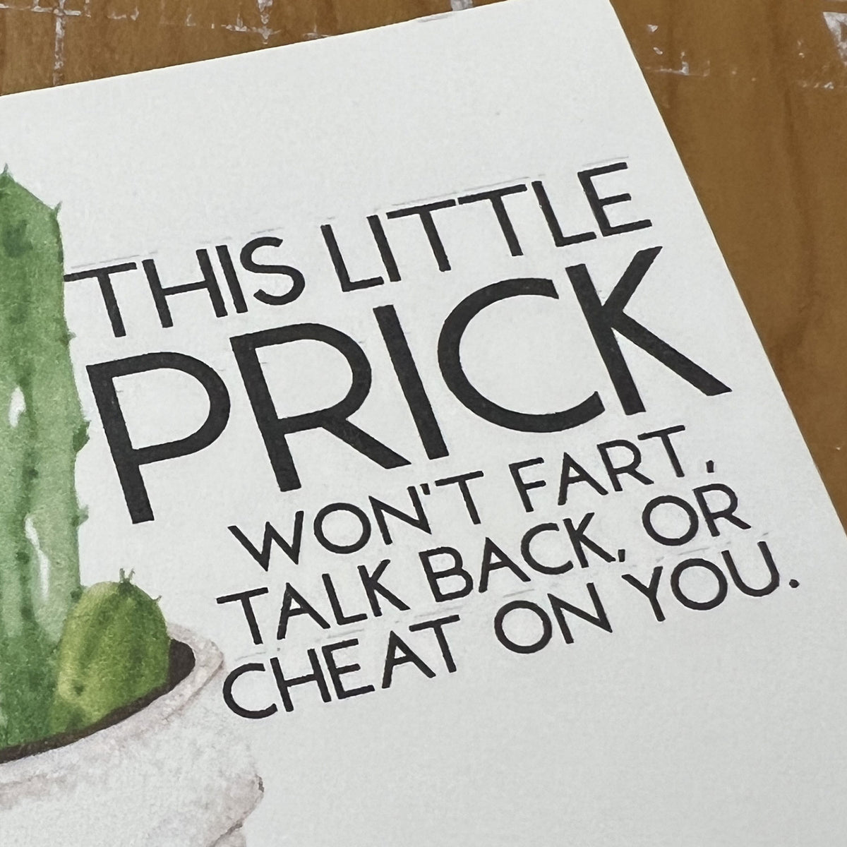 Breakup Gift Snarky Cactus Prick Pun Divorce Care Package
