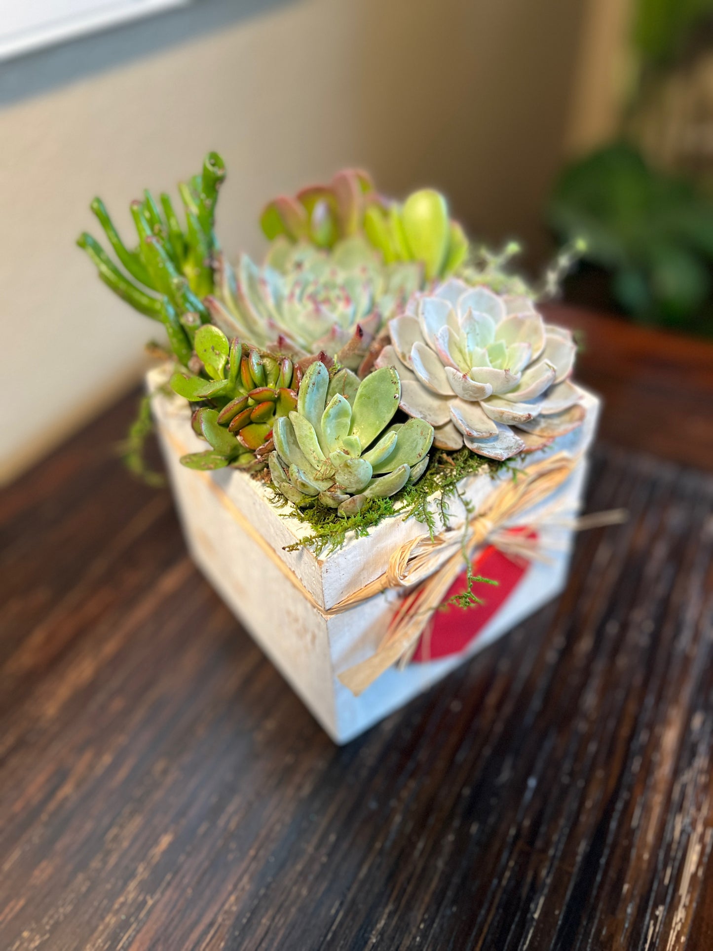 Heart Box Succulent Arrangement with Flag Tag , Valentine's Day Plant Box