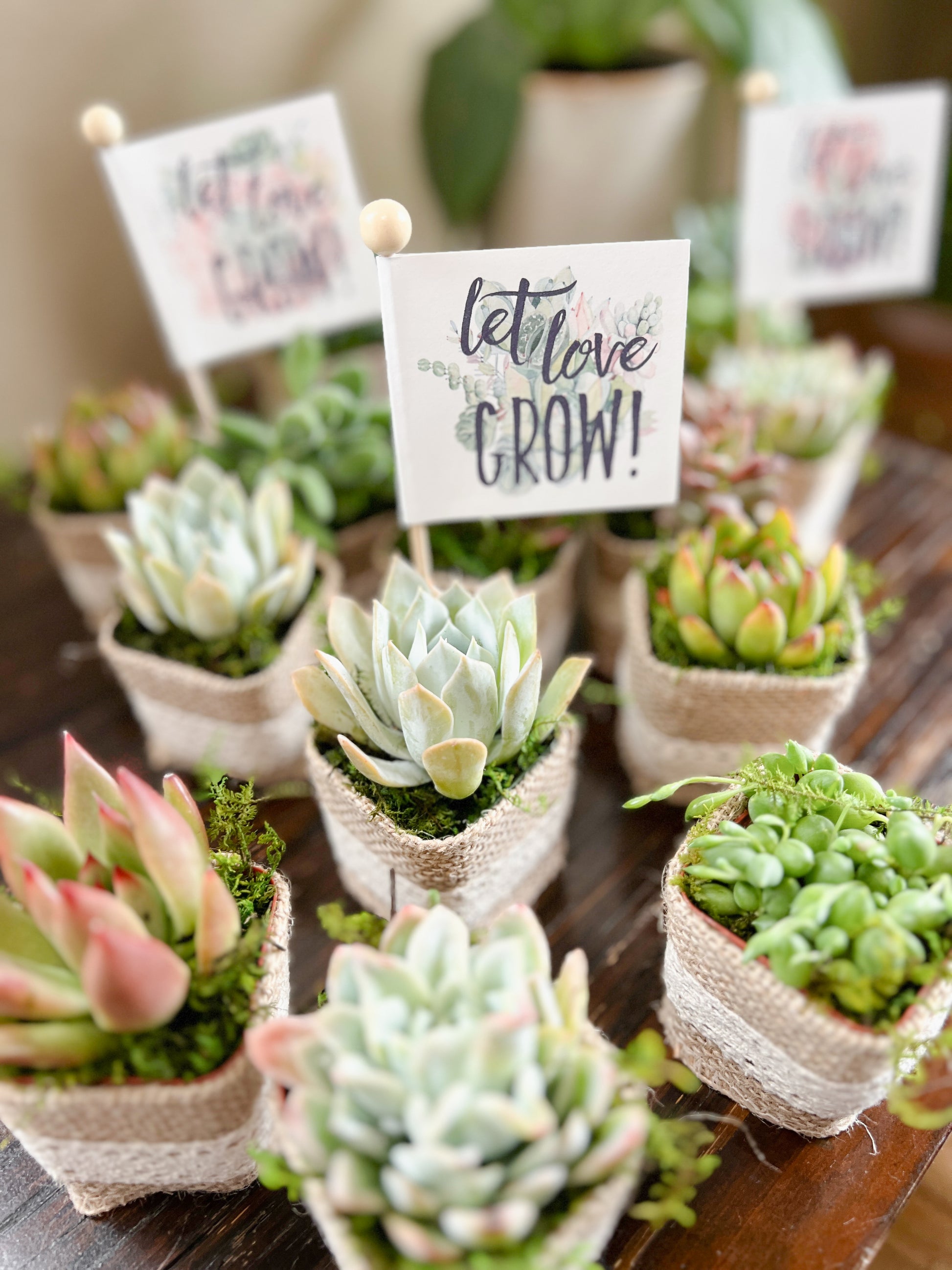 succulents as wedding favors Wedding Favor Tags, Stick Tags with Succulent Floral Theme, Plant and Love Puns