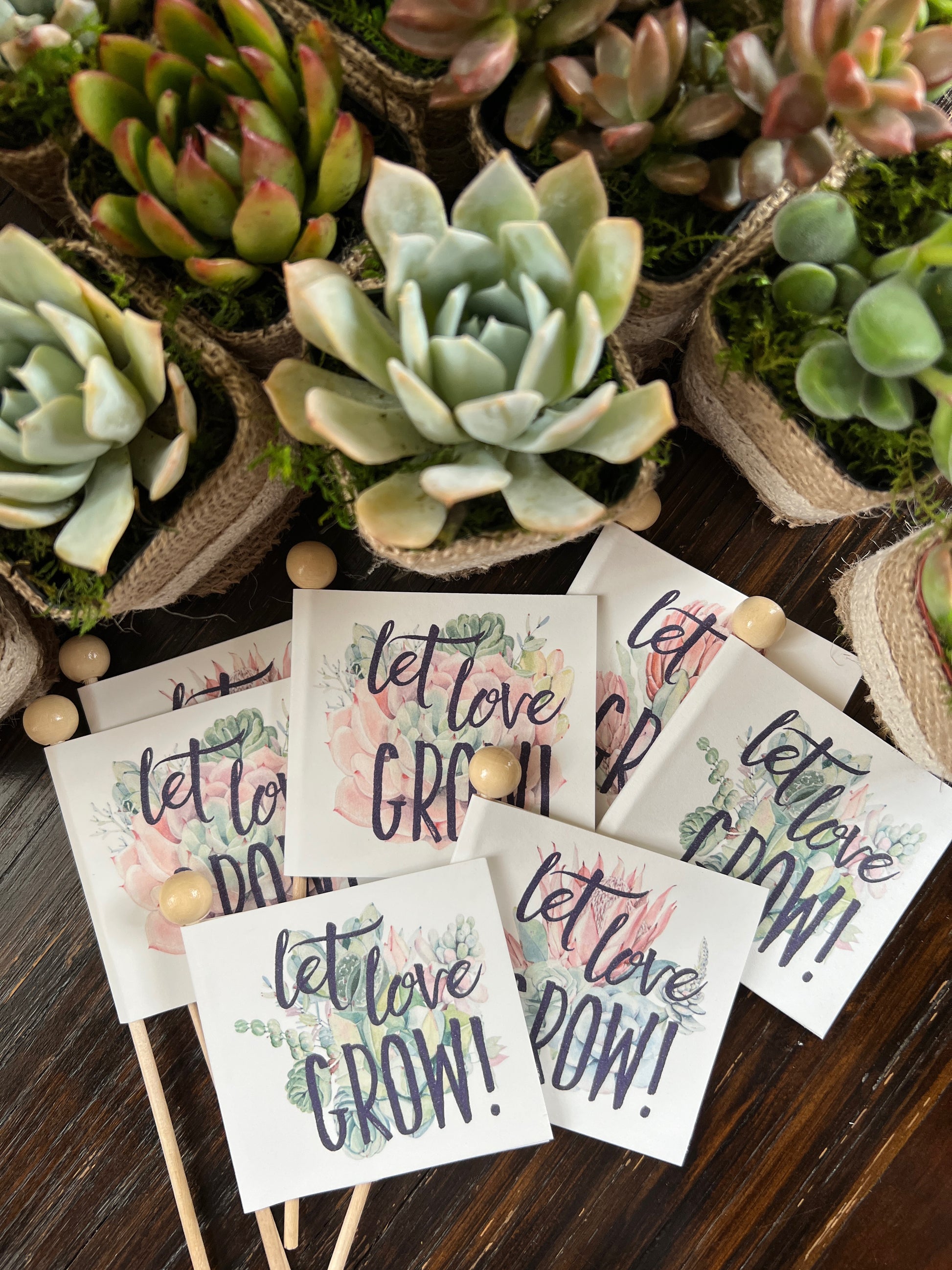 succulent wedding favors ideas Succulent Wedding Favors with Plant Pun Love Tags, Plant Favors with B – Succulents & Plant Gifts by Sorella Minchella