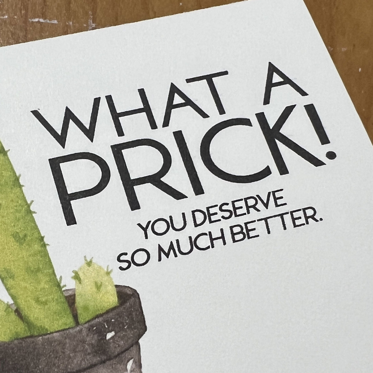 Breakup Gift Snarky Cactus Prick Pun Divorce Care Package